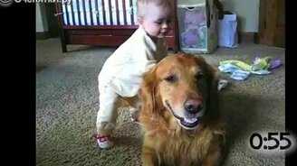 Собаки играют с детишками - смотреть видео (1:03)