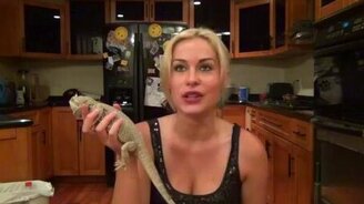 Игуана устроила девушке сюрприз - смотреть видео (1:05)