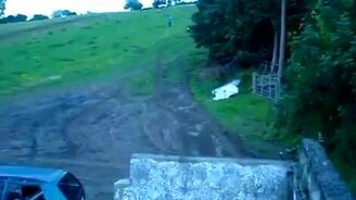 Красиво полетел в листву - смотреть видео (0:17)