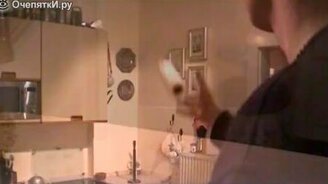 Лучший повседневный денёк - смотреть видео (1:40)