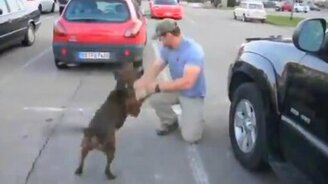 Пёс встречает хозяина - смотреть видео (0:59)