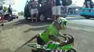 Обезьянка-мотоциклист - смотреть видео (0:40)