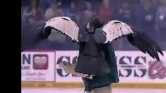 Непокорная птица-талисман - смотреть видео (2:27)