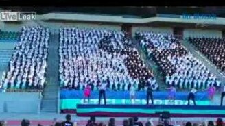 Старательное выступление болельщиков - смотреть видео (6:30)