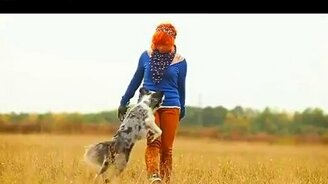 Настоящий друг человека - смотреть видео (0:35)