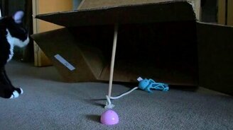 Ловушка для кошака - смотреть видео (0:23)