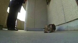 Мой любимый бетон! - смотреть видео (2:15)