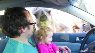 Весёлые казусы в одной подборке - смотреть видео (5:36)