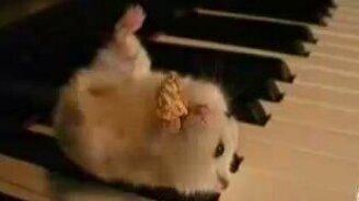 Когда я ем - я глух и нем - смотреть видео (1:15)