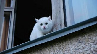 Не нервируйте меня! - смотреть видео (0:48)