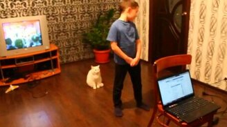 Кот не стерпел самодеятельности - смотреть видео (0:32)