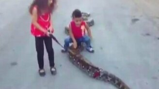 Змей на прогулке - смотреть видео (0:32)