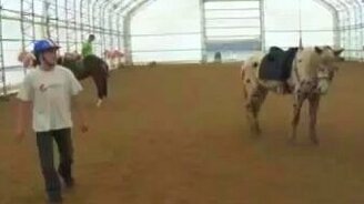 Любитель прыгать на лошадь сзади - смотреть видео (0:48)