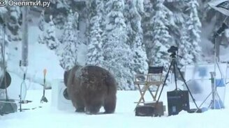 Удивительный огромный медведь - смотреть видео (1:46)