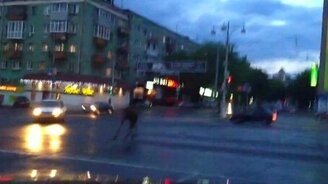 Лось в Перми - смотреть видео (0:25)