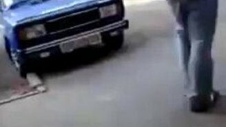 Боевой кот на прогулке - смотреть видео (0:31)