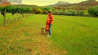 Реакция коров на виолончель - смотреть видео (0:52)