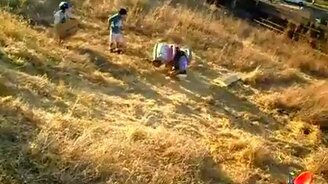 Первый опыт - смотреть видео (0:26)