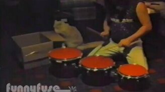 Кот-барабанщик - смотреть видео (0:59)