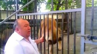 Бестрашный директор зоопарка - смотреть видео (2:08)