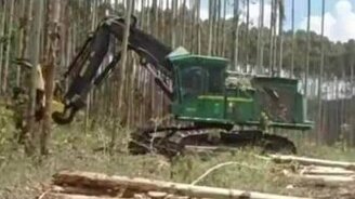 Машина, уничтожающая лес - смотреть видео (4:32)