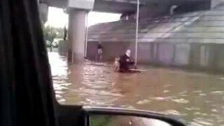 Собака помогает хозяину-инвалиду - смотреть видео (0:36)