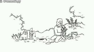 Кот Саймона - Ямка для цветов - смотреть видео (0:50)