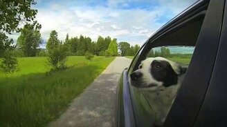 Ветер в моих ушах... - смотреть видео (2:21)