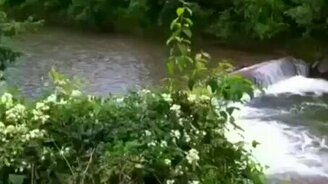 Внезапно на реке... - смотреть видео (0:45)