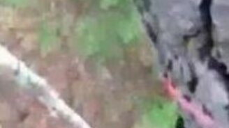 Медведь обнаружил охотника... - смотреть видео (1:49)