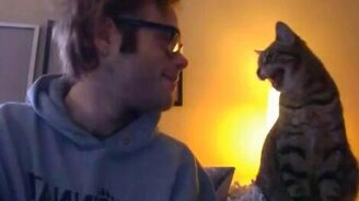 Предупреждение от кота - смотреть видео (0:11)