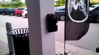 Урбанизированное гнездо для птенцов - смотреть видео (0:16)