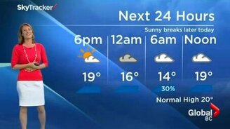 Паук в прямом эфире - смотреть видео (0:49)