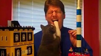 Кот мешает говорить - смотреть видео (0:34)