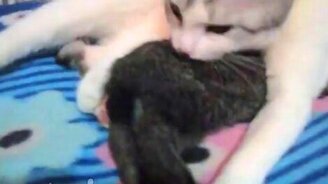 Сегодня банный день! - смотреть видео (1:00)