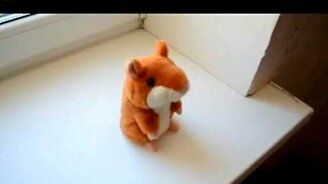 Говорящий хомяк и собака - смотреть видео (0:54)