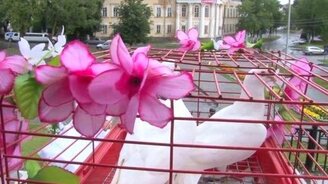 Самое крутое свадебное видео - смотреть видео (0:24)