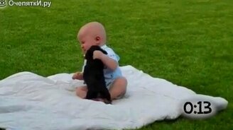 Маленькие зверята атакуют - смотреть видео (1:09)