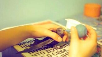 Кормим стрижа - смотреть видео (2:11)