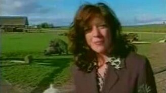 Смешное в новостях - смотреть видео (2:35)