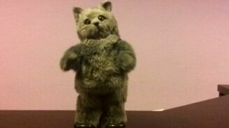 Танцующий кот-игрушка - смотреть видео (0:40)
