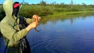 Вот так вот надо рыбачить! - смотреть видео (1:59)