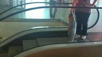 Современный выгул ребёнка - смотреть видео (0:21)