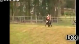 Безболезненные падения с лошадей - смотреть видео (1:08)