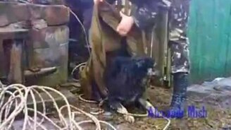 Люди вызволяют животных - смотреть видео (4:04)