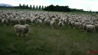 Кандидат в чиновники и толпа - смотреть видео (1:21)