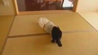 А ну открой личико! - смотреть видео (0:21)