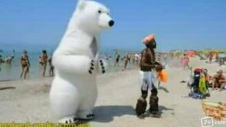 Горячий белый медведь - смотреть видео (2:54)