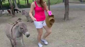 Девушка понравилась ослу - смотреть видео (0:49)