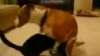 Не разлей вода - смотреть видео (0:22)